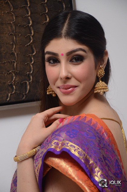 Aditi-Singh-At-Kalamandir-6th-Anniversary-Celebrations